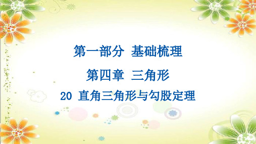 中考数学总复习《直角三角形与勾股定理》考点梳理及典例讲解课件