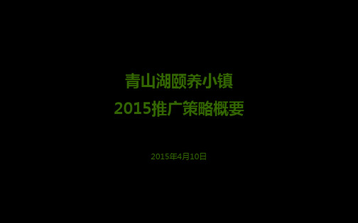 青山湖颐养小镇提报