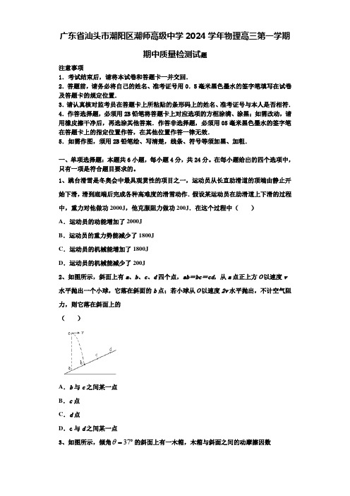 广东省汕头市潮阳区潮师高级中学2024学年物理高三第一学期期中质量检测试题含解析