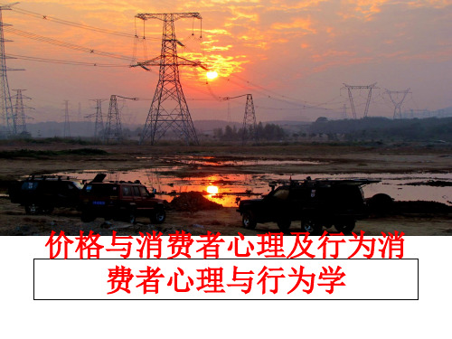 最新价格与消费者心理及行为消费者心理与行为学