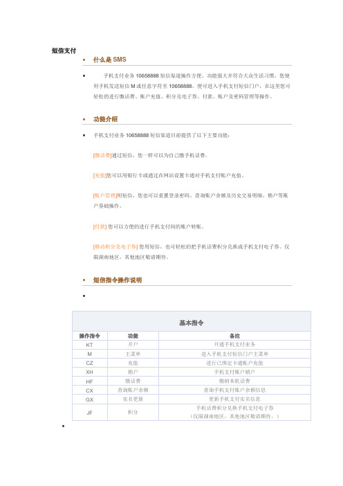 短信支付