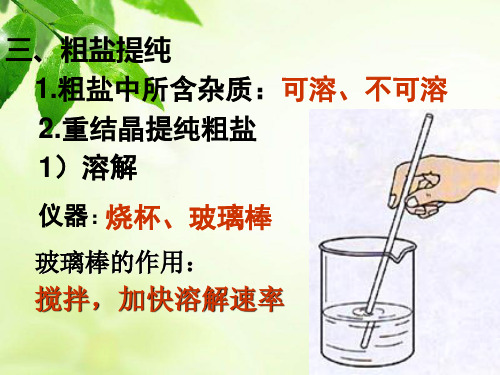 粗盐提纯 (1)