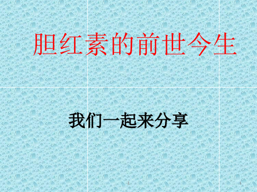 胆红素的前世今生