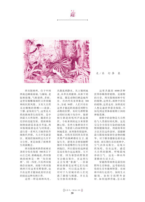 探秘雨林