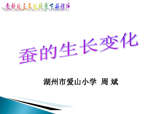 教科版科学三年级下册：2.2 蚕的生长变化 课件(共12张PPT)