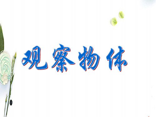 人教版数学五年级上册观察物体ppt课件