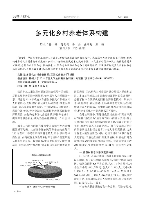 多元化乡村养老体系构建