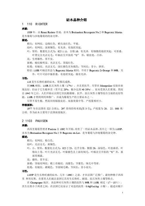 葡萄砧木介绍