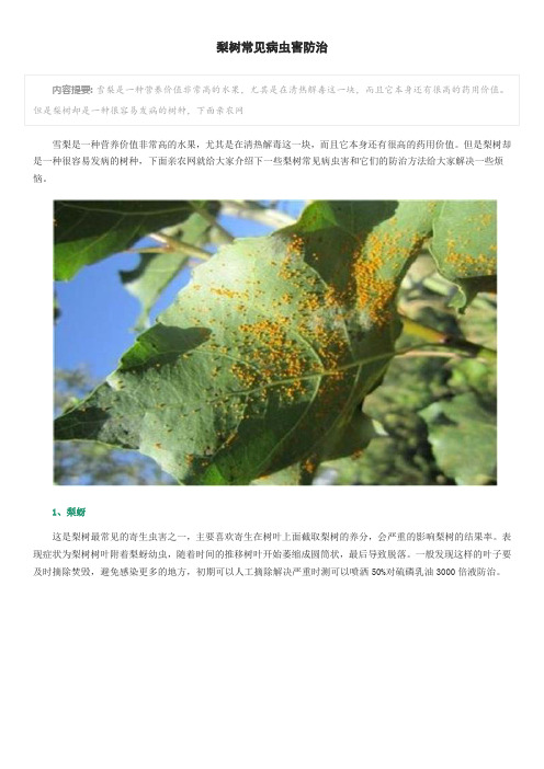 梨树常见病虫害防治