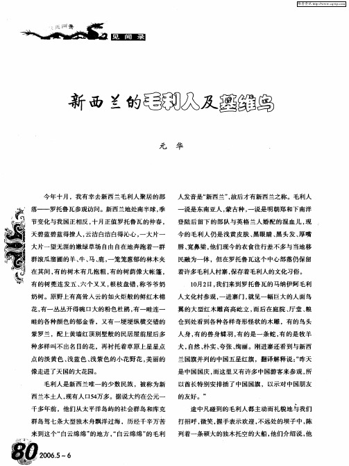 新西兰的毛利人及基维鸟