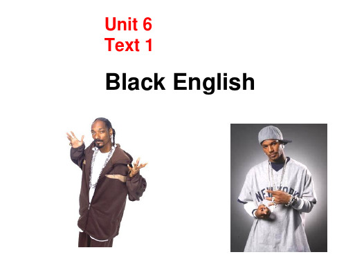 高级英语第六版unit6blackEnglish.ppt