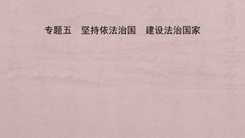 山东省济南市2019年中考道德与法治专题复习五坚持依法治国建设法治国家课件