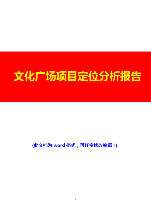 (推荐精品)文化广场项目定位分析报告