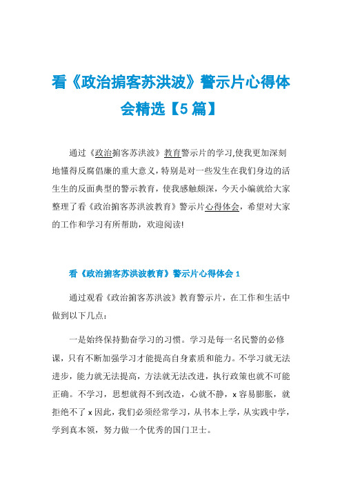 看《政治掮客苏洪波》警示片心得体会精选【5篇】
