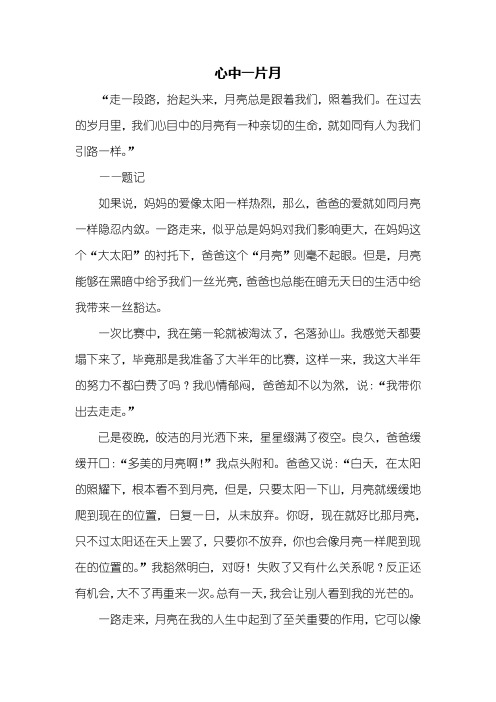 初三作文：心中一片月作文600字