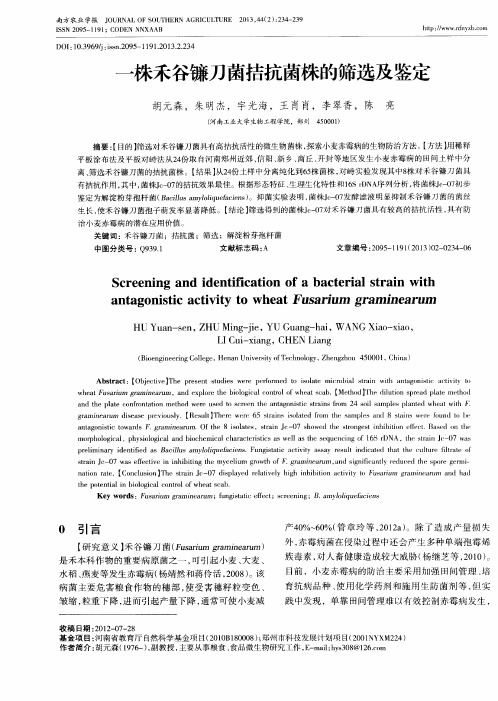 一株禾谷镰刀菌拮抗菌株的筛选及鉴定