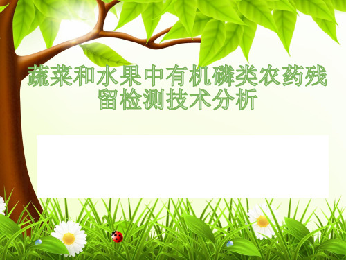 水果蔬菜中农药残留检测技术