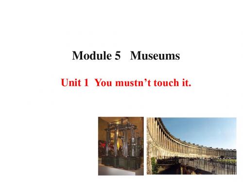 外研版九年级英语上册课件：Module5MuseumsUnit1