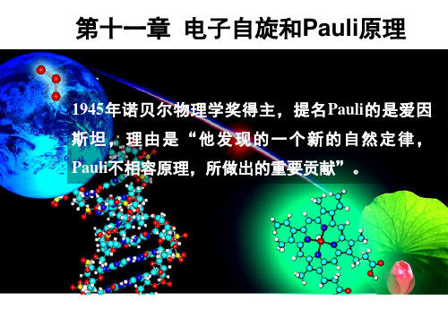 量子化学课件--第十一章 自旋和泡利原理