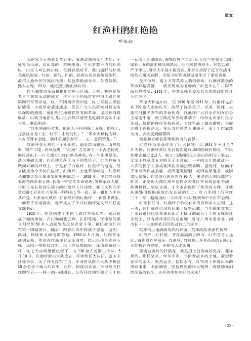 红渔杜鹃红艳艳