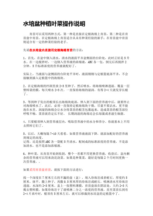 水培盆种植叶菜操作说明