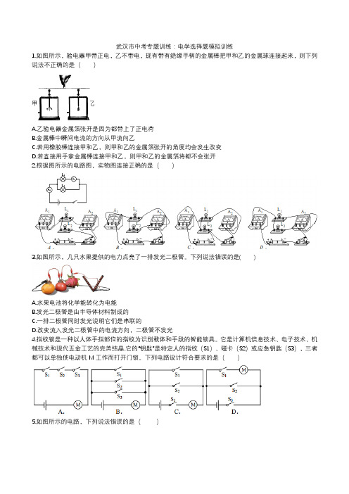 2020武汉市中考复习专题训练：电学选择题