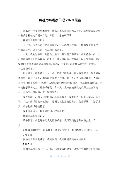 种植南瓜观察日记2020最新