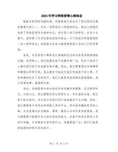 2024年学习网络营销心得体会