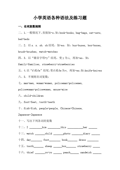 (完整版)小学英语各种语法及练习题