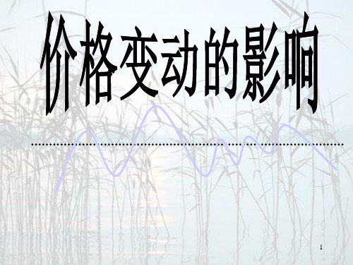 高中政治 价格变动的影响课件 新人教版必修1