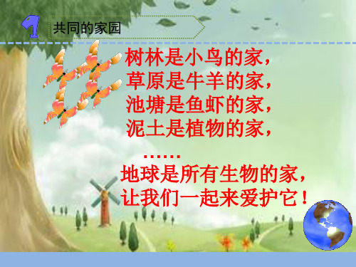 苏教版科学六年级下册《寻找生物的家园 》课件