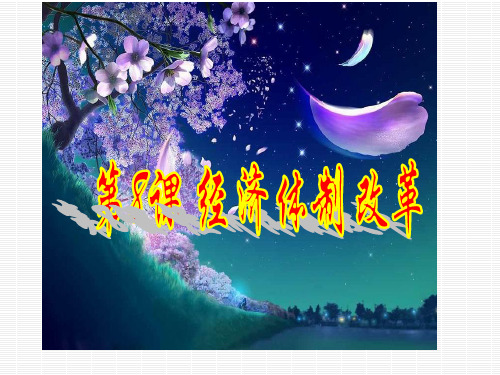 经济体制改革PPT课件