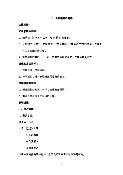 12生死相随的海鸥
