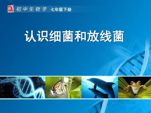 认识细菌和放线菌-教学课件