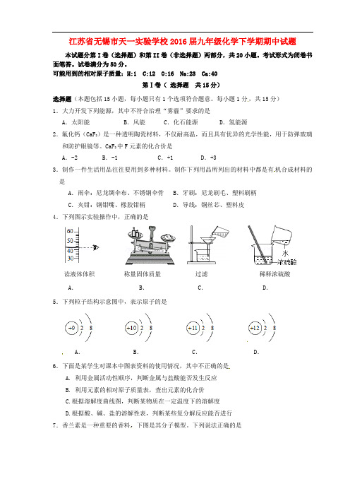 江苏省无锡市天一实验学校九年级化学下学期期中试题