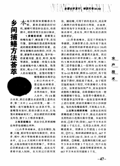 乡间捕鳝方法荟萃