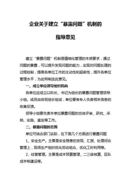 企业关于建立暴露问题机制的指导意见