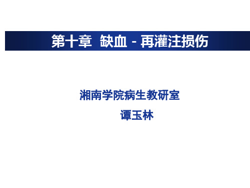 病理生理学 缺血-再灌注损伤