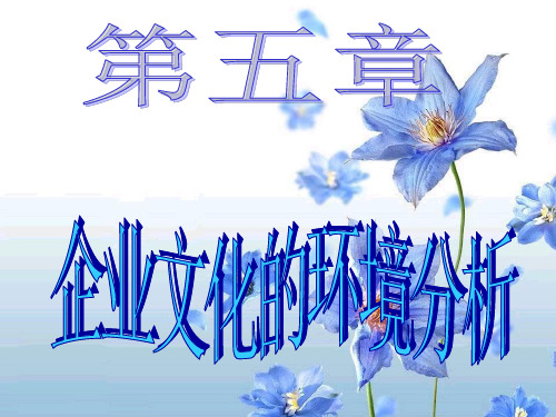 企业文化的环境分析