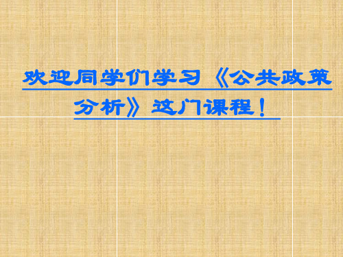 第六章 政策执行精编版