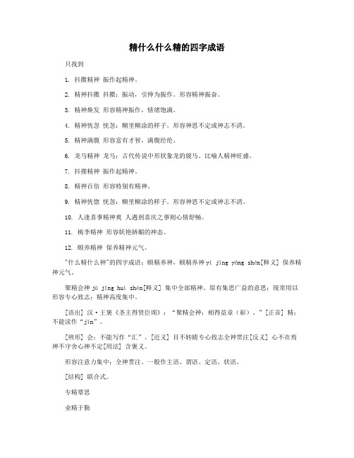 精什么什么精的四字成语