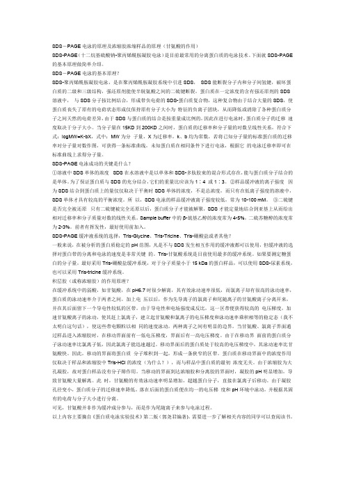 完整word版,SDS-PAGE 各成分作用