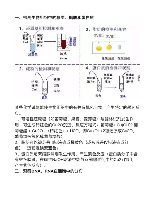 高考生物重点实验原理