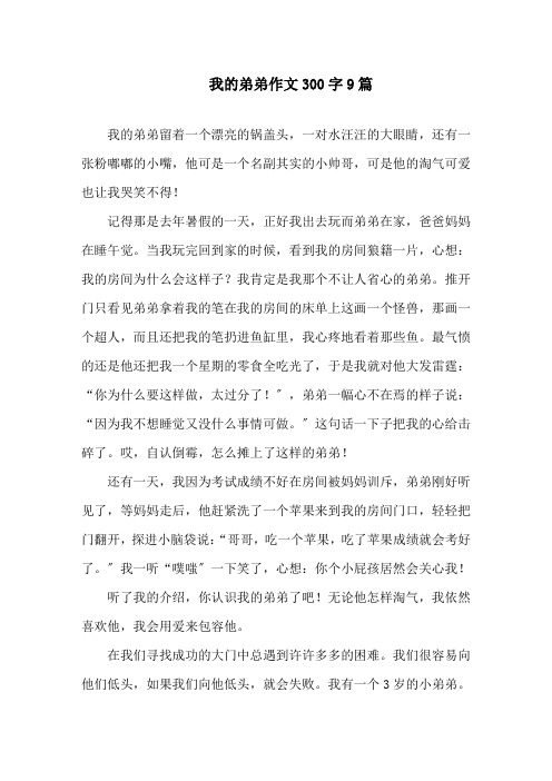 我的弟弟作文300字9篇精选