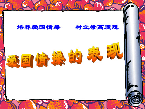爱国情操的表现