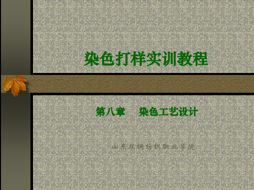 第八章 染色工艺设计演示文稿.ppt