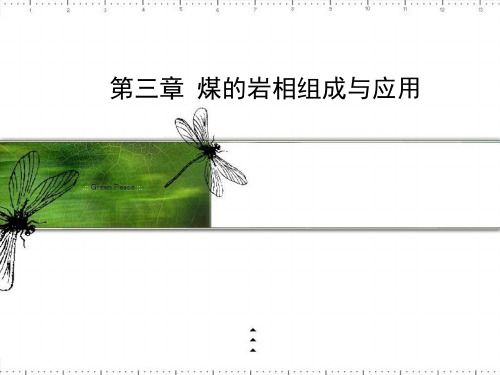 煤的岩相组成