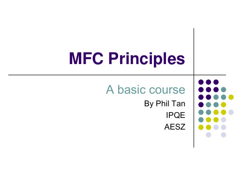 质量流量计介绍MFC Principle