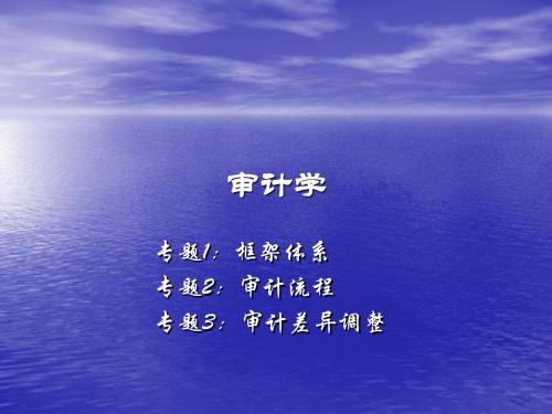 0 补充-审计流程+审计差异调整