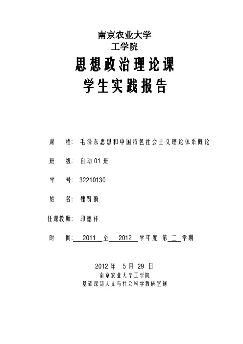 毛概实践报告